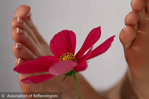 Reflexology. AOR Flower and Feet